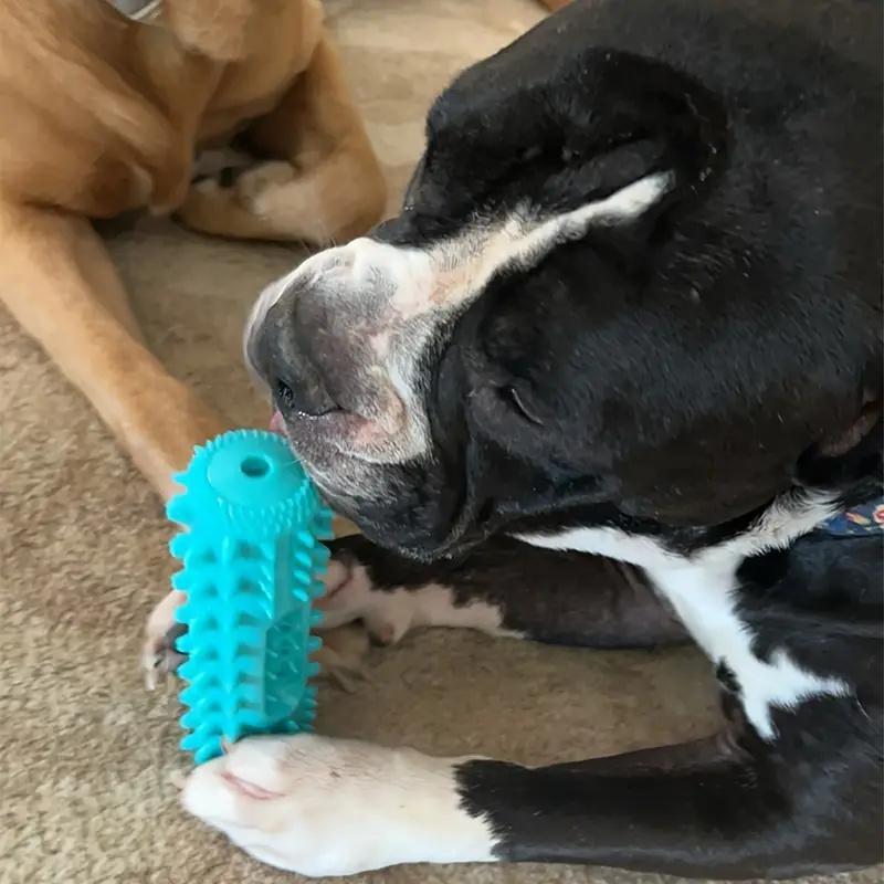 Tough Rubber Dog Toothbrush Chew Toy – Reduces Plaque & Boredom
