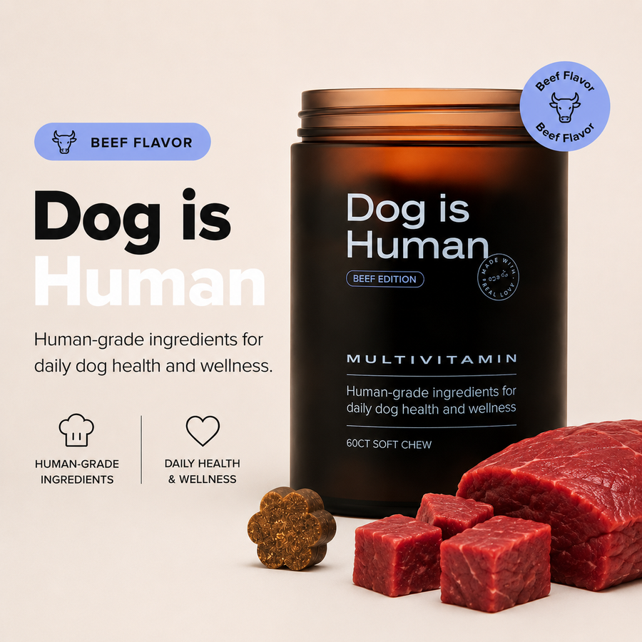 Dog Is Human Daily Multivitamin Soft Chews – Beef, Chicken Flavor | 60 Count
