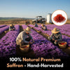 Saffron Support Supplement for School Focus
