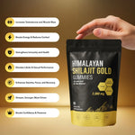 Himalayan Shilajit Gummies for Energy and Recovery