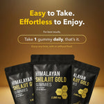Himalayan Shilajit Gummies for Energy and Recovery