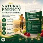 Kombucha Probiotic Gummies for Digestive Support