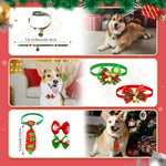 Dog Advent Calendar