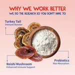 Turkey Tail Dog Supplement for Immune Support