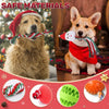 Dog Advent Calendar