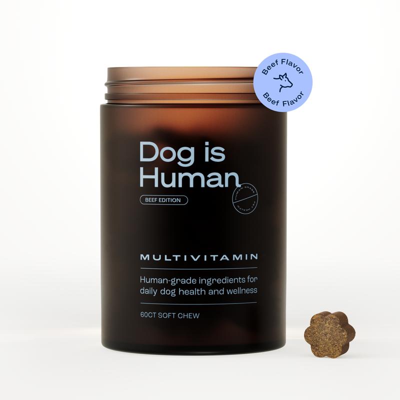 Dog Is Human Daily Multivitamin Soft Chews – Beef, Chicken Flavor | 60 Count