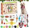 Dog Advent Calendar