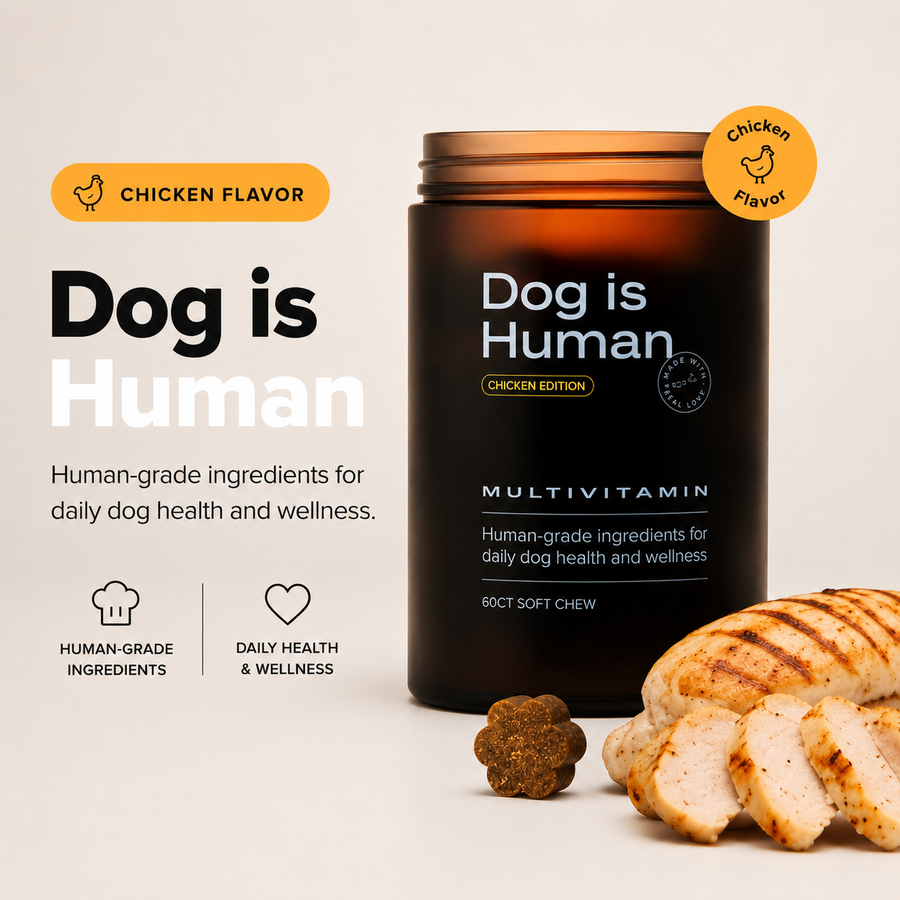 Dog Is Human Daily Multivitamin Soft Chews – Beef, Chicken Flavor | 60 Count
