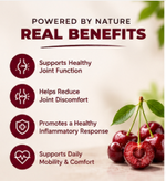 Tart Cherry Extract for Joint Comfort