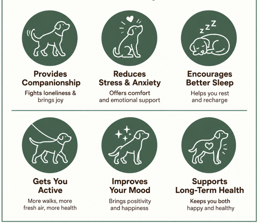 Parasite Cleanse Drops for Dogs – Natural 21-Day Gut Cleanse & Digestive Wellness Support
