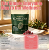 Kombucha Probiotic Gummies for Digestive Support