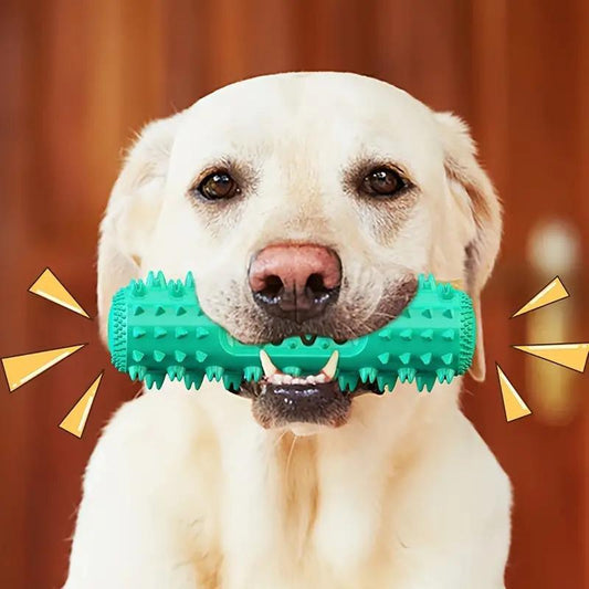 Tough Rubber Dog Toothbrush Chew Toy – Reduces Plaque & Boredom