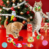 Cat Toy Christmas Advent Calendar