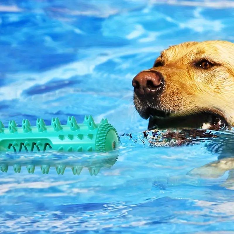 Tough Rubber Dog Toothbrush Chew Toy – Reduces Plaque & Boredom
