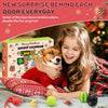 Dog Advent Calendar