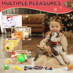 Dog Advent Calendar